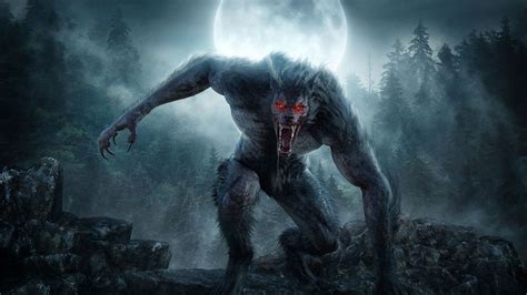 The Werewolf Curse: A Gendered Phenomenon?